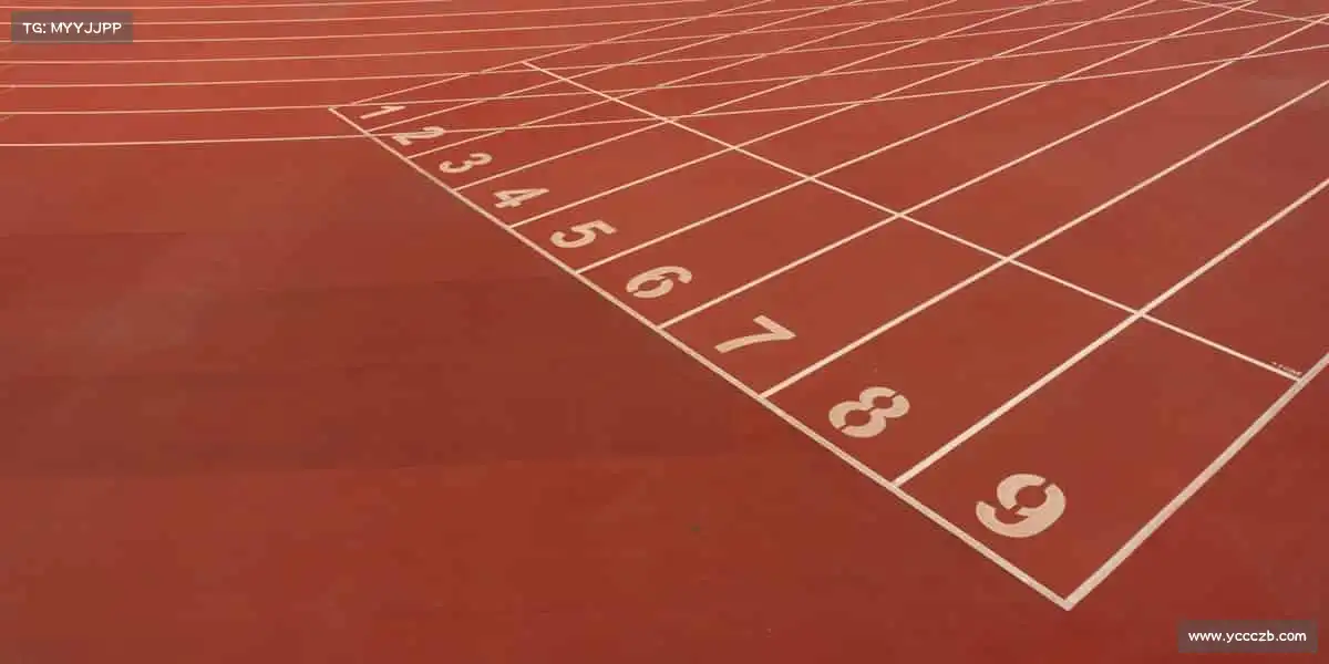 <strong>xc体育</strong>运动不是天赋，而是日复一日的坚持与热爱！❤️‍🔥🏓